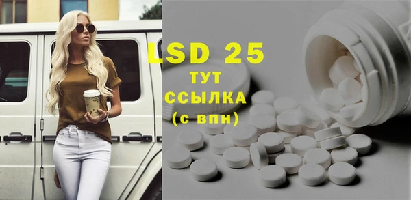 прущие грибы Аркадак