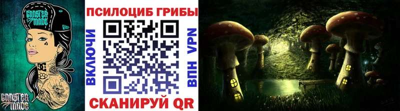 Галлюциногенные грибы мицелий  как найти   Волгоград 